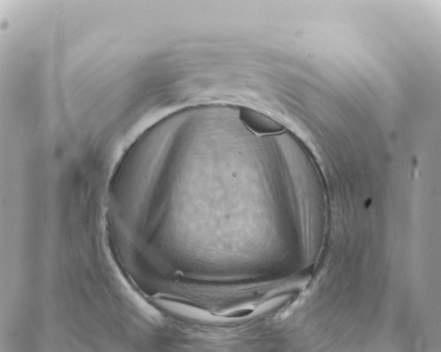 X0000088381525200706121132