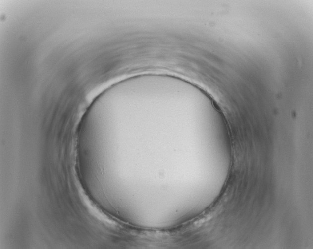 X0000088381526200706121132