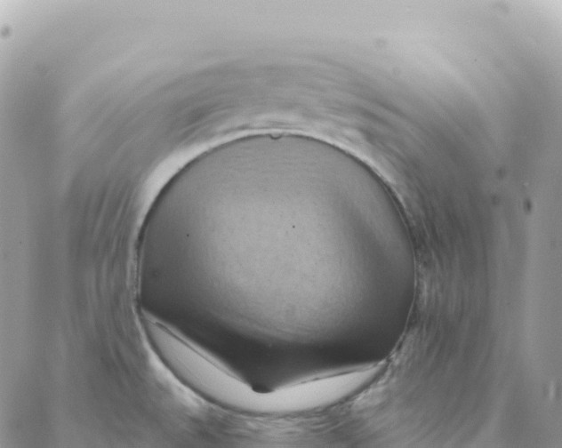 X0000088381527200706121132