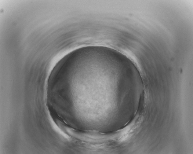 X0000088381528200706121132