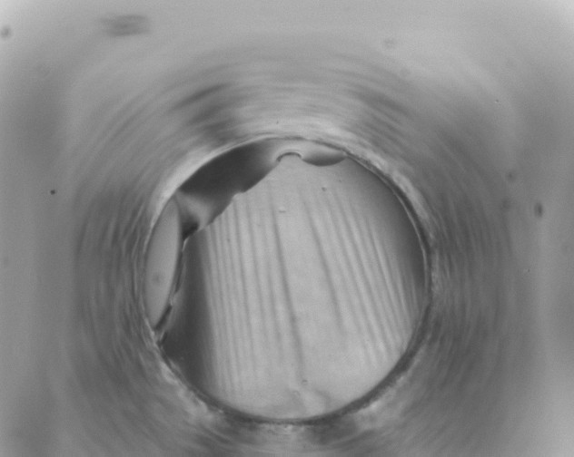 X0000088381529200706121132