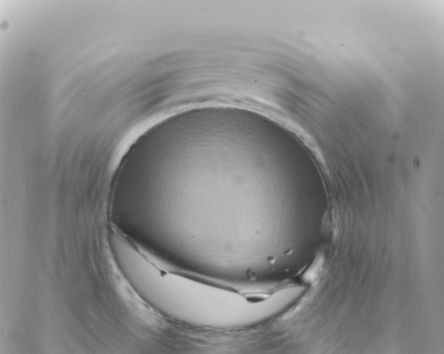 X0000088381530200706121132