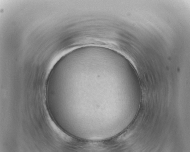 X0000088381531200706121132