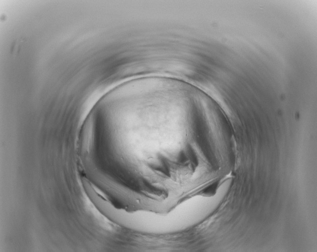 X0000088381532200706121132