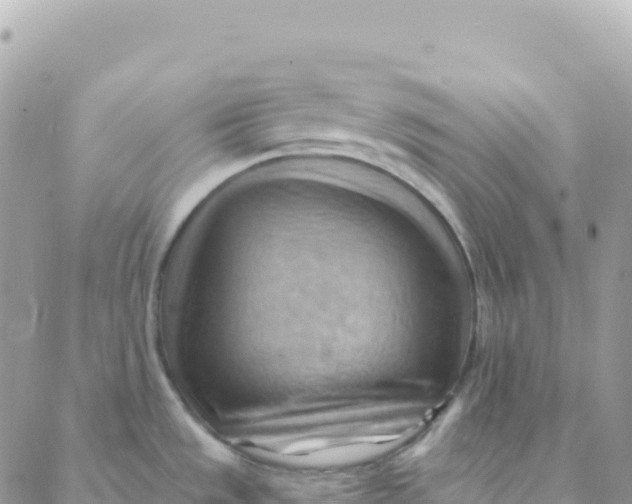 X0000088381533200706121132