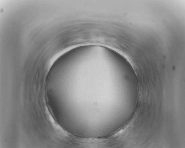 X0000088381534200706121132