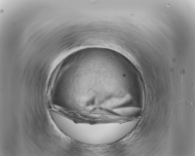 X0000088381536200706121132