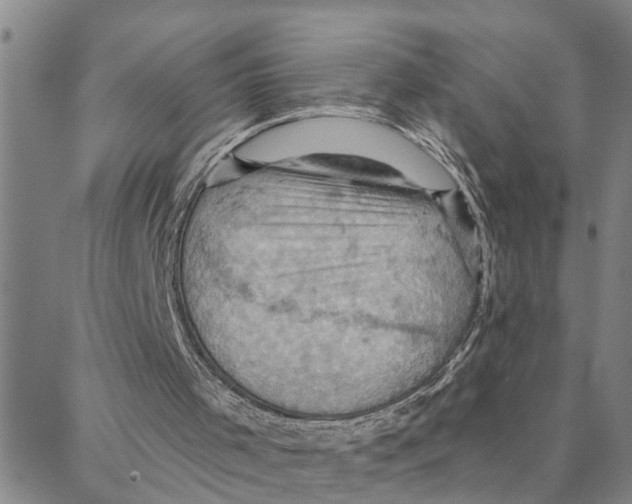 X0000088380001200706191319