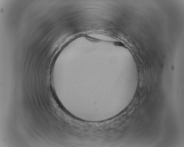 X0000088380002200706191319