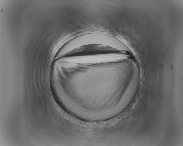 X0000088380007200706191319