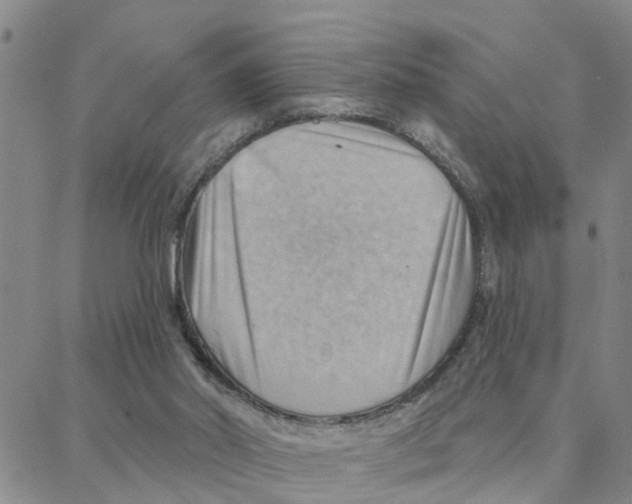 X0000088380014200706191319