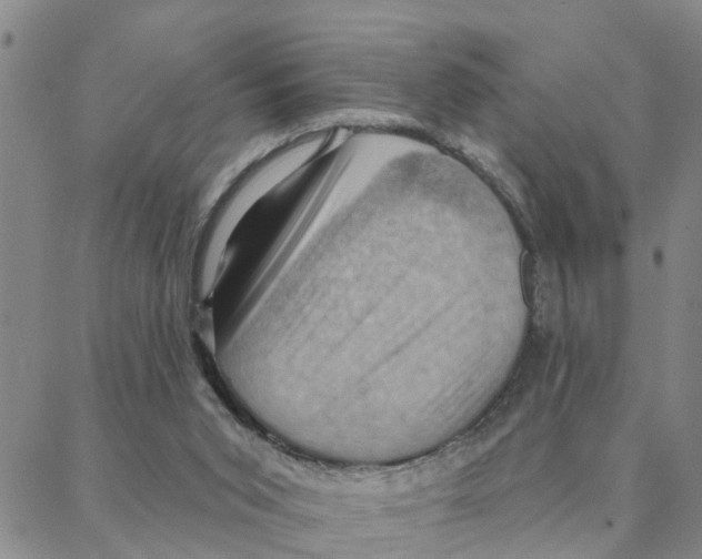 X0000088380015200706191319