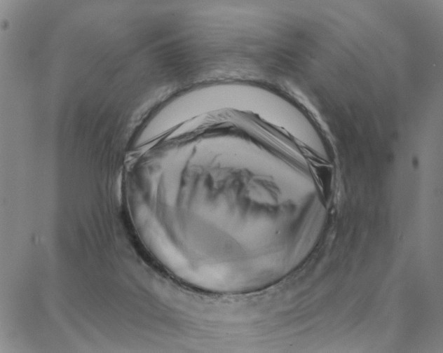 X0000088380019200706191319