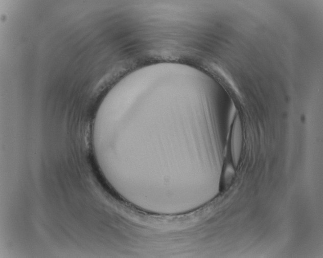 X0000088380023200706191319