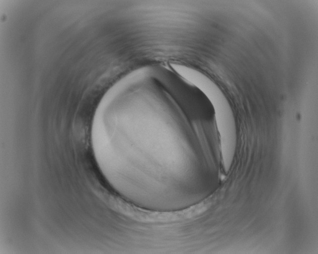 X0000088380031200706191319