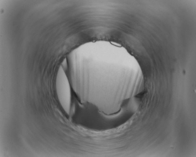 X0000088380039200706191319