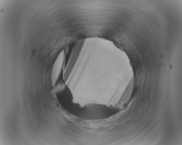 X0000088380041200706191319