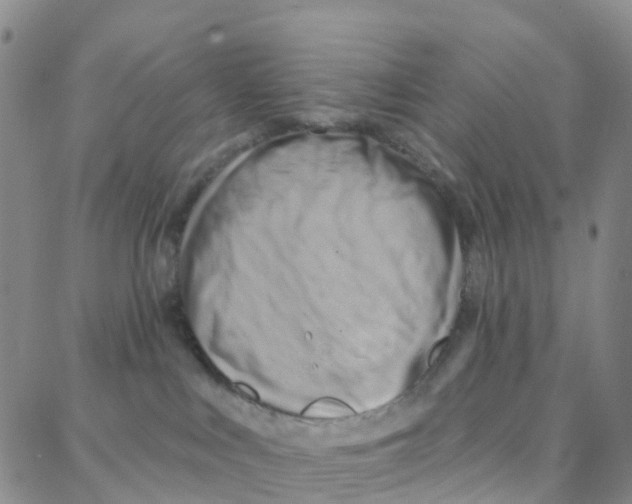 X0000088380043200706191319