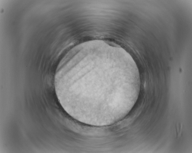 X0000088380044200706191319