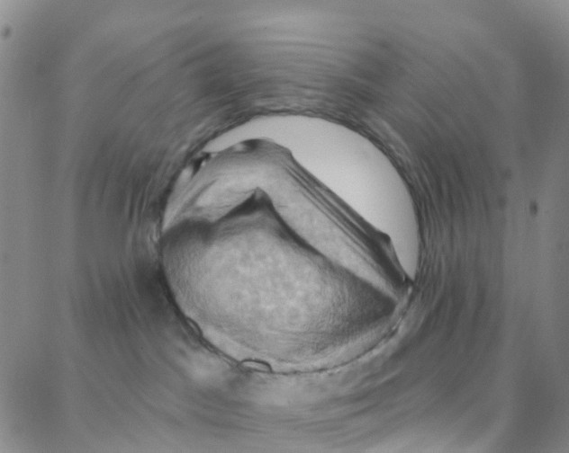 X0000088380045200706191319