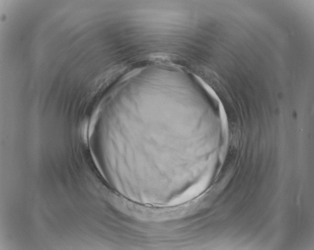 X0000088380047200706191319