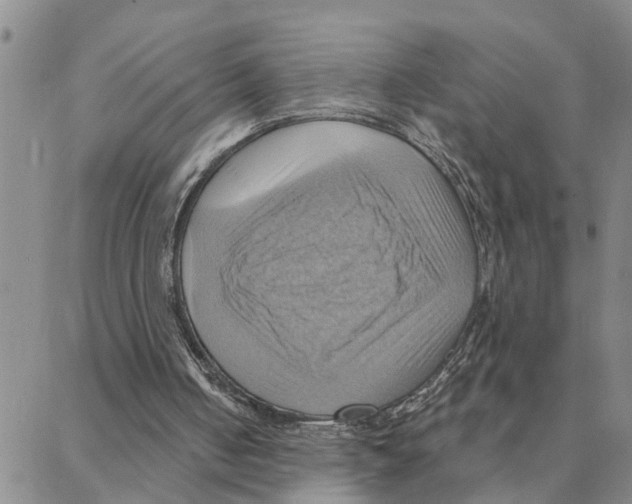 X0000088380050200706191318