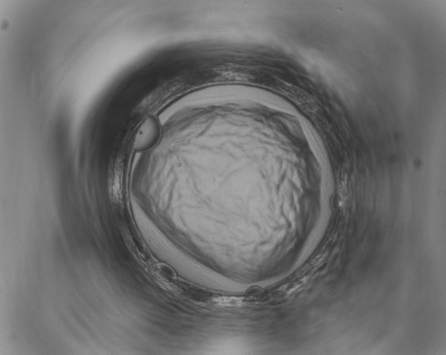 X0000088380052200706191318