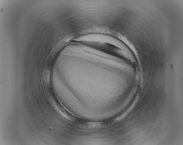 X0000088380057200706191318