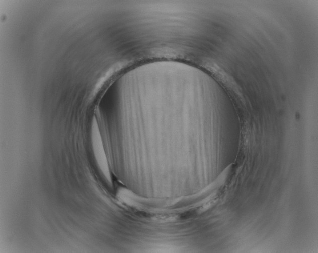 X0000088380064200706191318