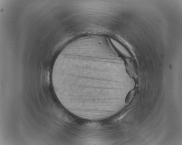 X0000088380067200706191318