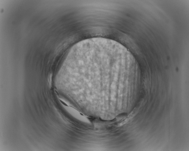 X0000088380070200706191318