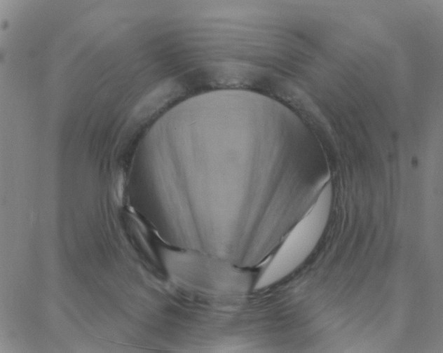 X0000088380076200706191318