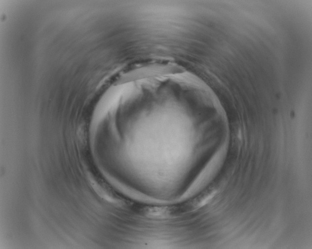 X0000088380088200706191318