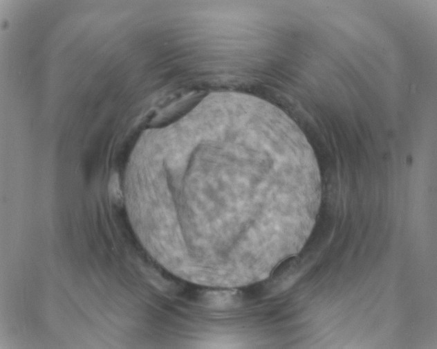 X0000088380089200706191318