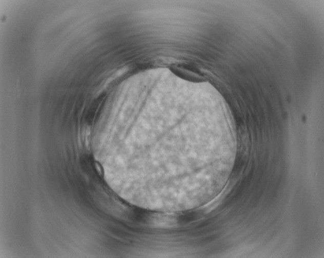 X0000088380094200706191318