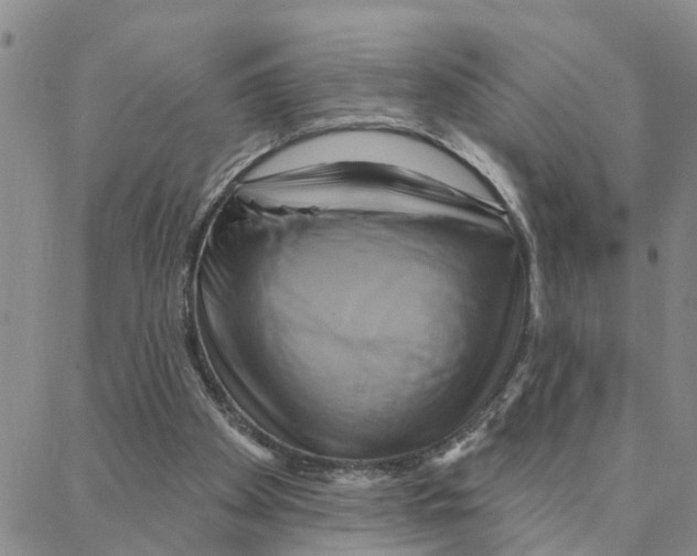 X0000088380105200706191318