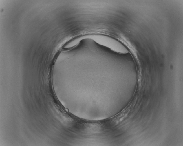 X0000088380107200706191318