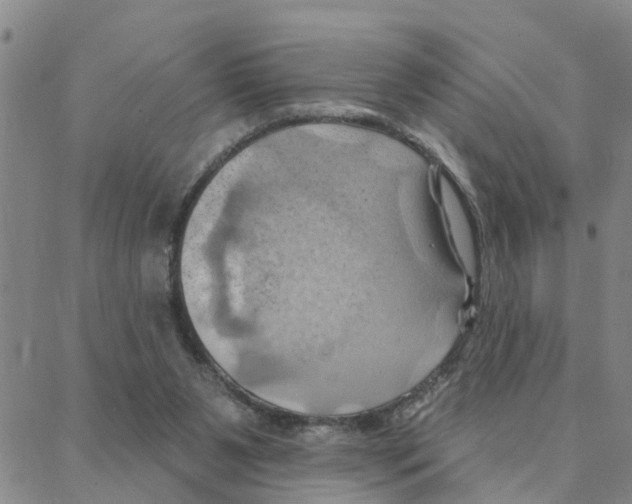 X0000088380111200706191318