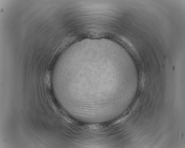 X0000088380121200706191317