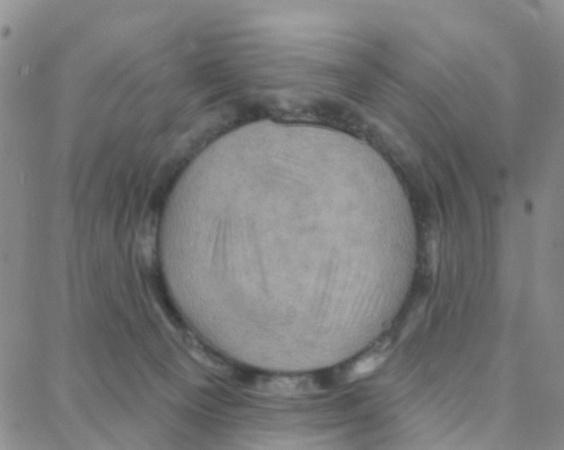 X0000088380129200706191317