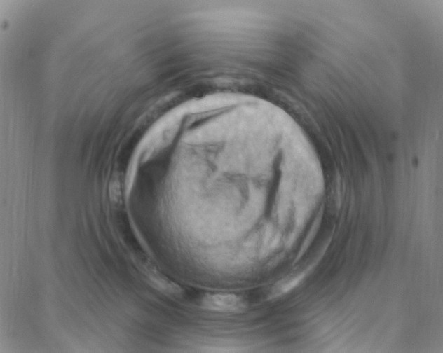 X0000088380137200706191317