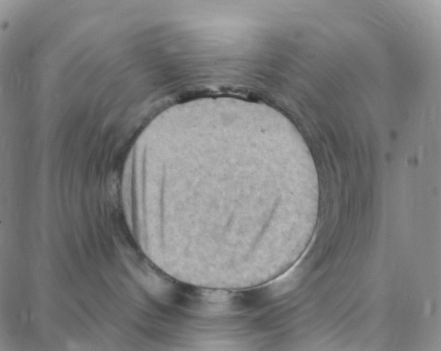 X0000088380144200706191317