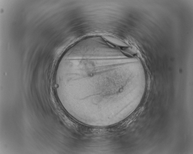 X0000088380145200706191316