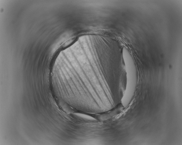 X0000088380150200706191316