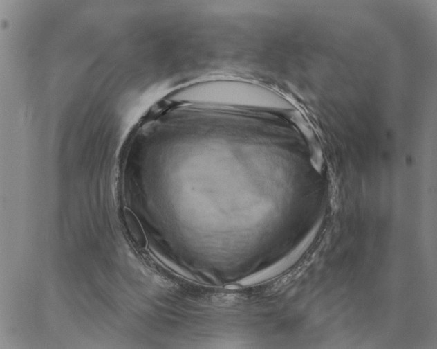 X0000088380152200706191316