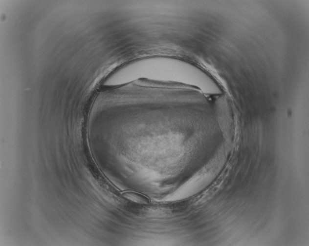X0000088380154200706191316