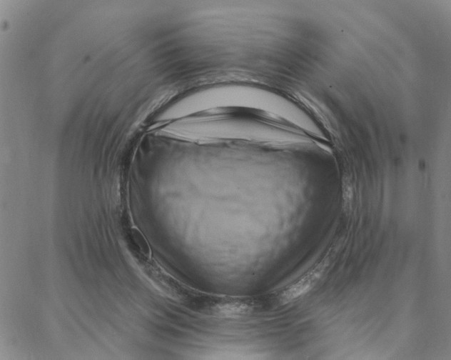 X0000088380158200706191316