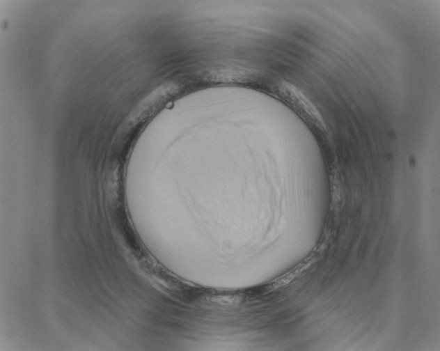 X0000088380163200706191317