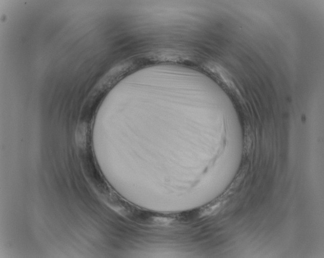 X0000088380167200706191317