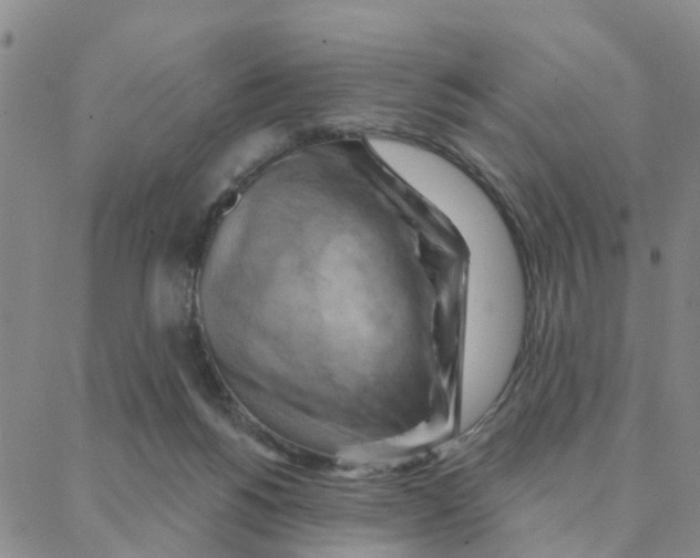 X0000088380168200706191317
